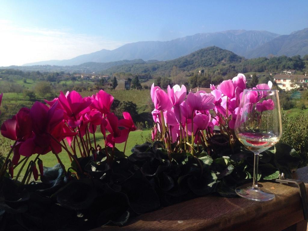 Wine Hotel San Giacomo Activity & Wellness Paderno del Grappa Dış mekan fotoğraf