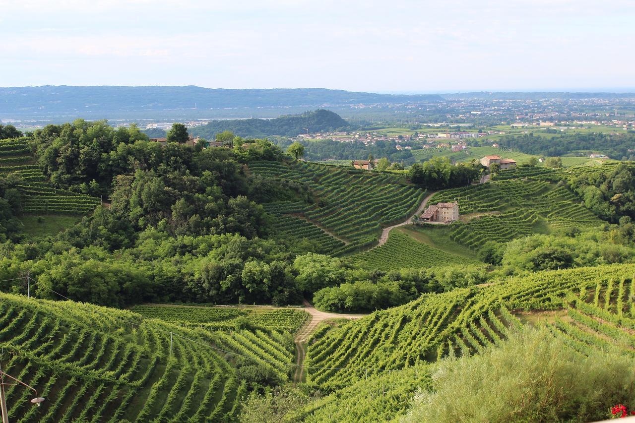 Wine Hotel San Giacomo Activity & Wellness Paderno del Grappa Dış mekan fotoğraf