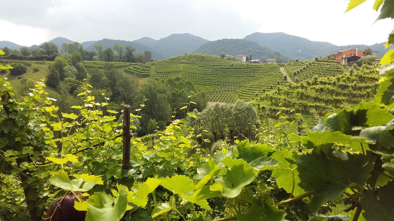 Wine Hotel San Giacomo Activity & Wellness Paderno del Grappa Dış mekan fotoğraf